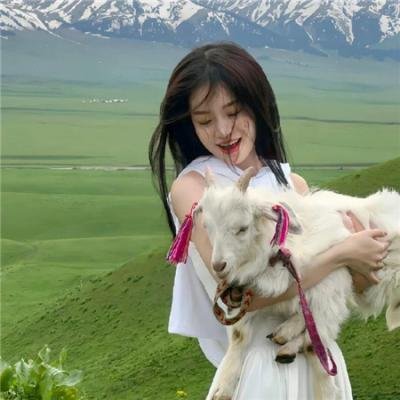 杏林战场